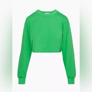 Azure Skies Aritzia Long Sleeve size M Gloss Green